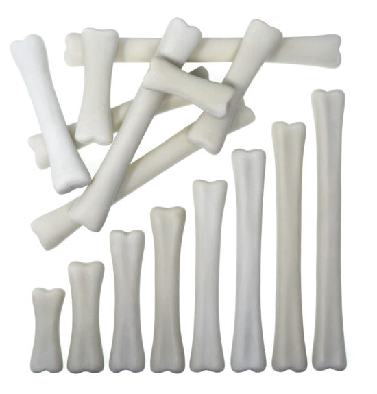 Dinosaur Bones Match and Measure Set