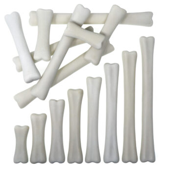 Dinosaur Bones Match and Measure Set