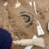 Dinosaur Bones Match and Measure Set - Image 5