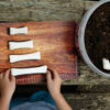 Dinosaur Bones Match and Measure Activity Cards - Image 4