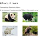 Goldilocks and the Three Bears App - Image 5