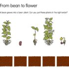 Jack and the Beanstalk App - Image 4