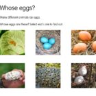 Come Alive Nursery Rhymes App - Image 6