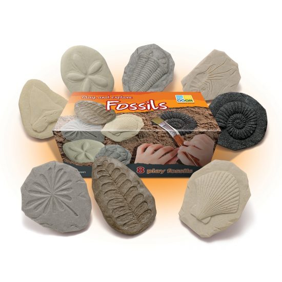 Eight realistic tactile fossils - great for discovery and investigation (3-3.5")