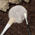 Let's Investigate Bugs - Image 7