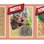 Let's Investigate Farmyard Footprints - Image 3