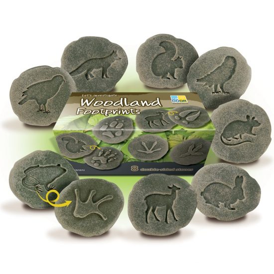 Eight double-sided stones with footprint on one side animal on the other.   (approx 3 inches)