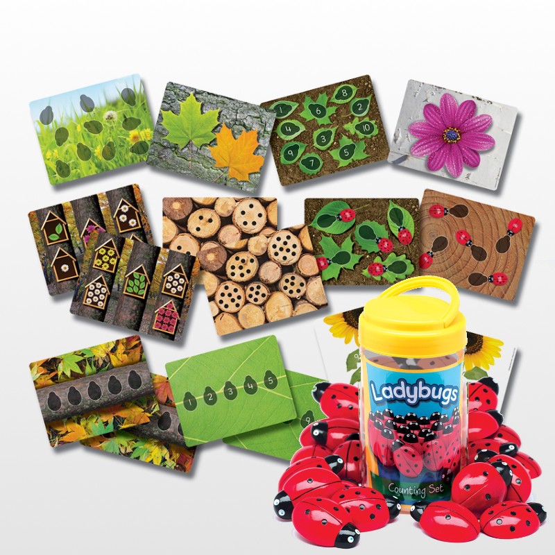 Explore early number with ladybugs Counting stones and cards