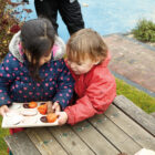Natural Sorting Tray - Image 2