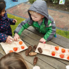 10-Frame Tray - Image 5