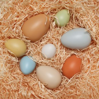 8 different-sized eggs ranging between 1.5-3" high