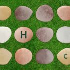 Letter Recognition App - Image 3