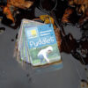 Adventures Outdoors — Puddles - Image 2