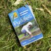 Adventures Outdoors — Puddles - Image 4