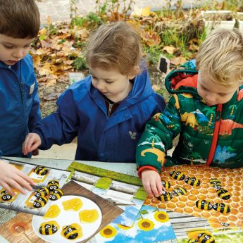 Honey bee stones and acitivyt cards to develop mathematical understanding