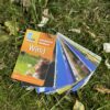 Adventures Outdoors — Wind - Image 4