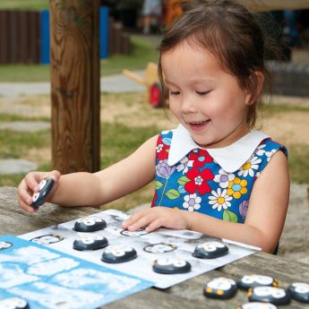 Learn pre-coding skills with these attractive penguin stones and activity cards