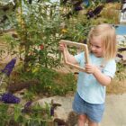 Natural Focus Frames - Image 3