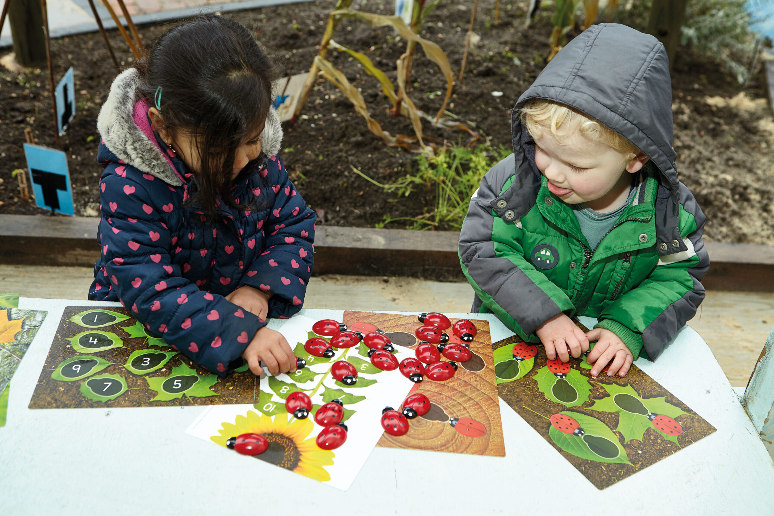 Ladybug Counting Stones - Image 5