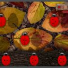 Number Patterns and Bonds App - Image 2