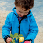 Flowers - Sensory Play Stones - Image 8