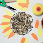 Flowers - Sensory Play Stones - Image 4