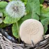 Let's Investigate - Nature - Image 9