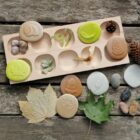 Let's Investigate - Nature - Image 6