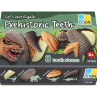 Let's Investigate - Prehistoric Teeth - Image 11