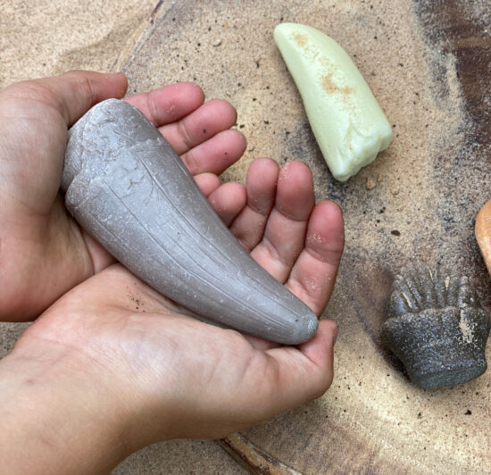 Prehistoric Teeth Durable Play Stones