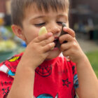 Let's Investigate - Prehistoric Teeth - Image 5