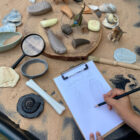 Let's Investigate - Prehistoric Teeth - Image 3