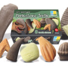 Let's Investigate - Prehistoric Teeth - Image 10