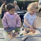 Prehistoric Teeth Explore and Discover Activity Cards - Image 8