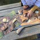 Prehistoric Teeth Explore and Discover Activity Cards - Image 7