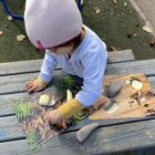 Prehistoric Teeth Explore and Discover Activity Cards - Image 2