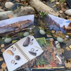 Prehistoric Teeth Explore and Discover Activity Cards - Image 5