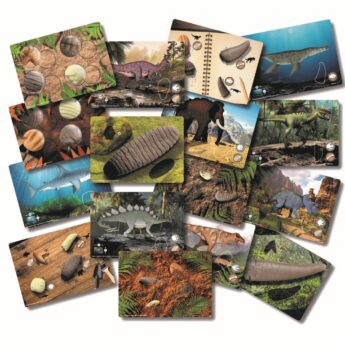 Prehistoric Teeth Activity Cards