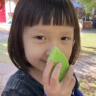 Leaves - Sensory Play Stones - Image 6