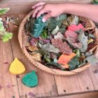 Leaves - Sensory Play Stones - Image 8