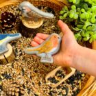 Birds - Sensory Play Stones - Image 11