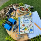 Birds - Sensory Play Stones - Image 8