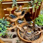 Birds - Sensory Play Stones - Image 3