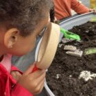 Dig and Discover – Ankylosaurus & Tyrannosaurus rex - Image 8