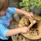 Dig and Discover – Pliosaur & Stegosaurus - Image 4