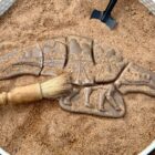 Dig and Discover – Pliosaur & Stegosaurus - Image 9