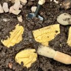 Dig and Discover – Pliosaur & Stegosaurus - Image 3