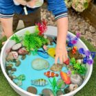 Fish – Sensory Play Stones - Image 7