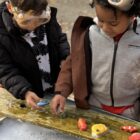 Fish – Sensory Play Stones - Image 10