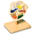 Rotating Bead Wheel - Image 6
